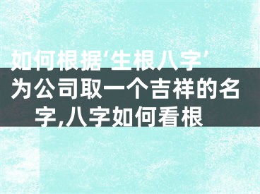 如何根据‘生根八字’为公司取一个吉祥的名字,八字如何看根
