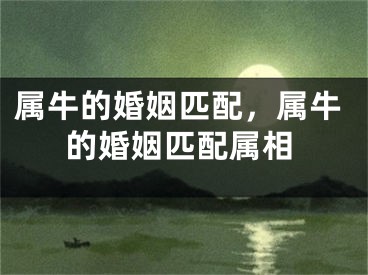 属牛的婚姻匹配，属牛的婚姻匹配属相