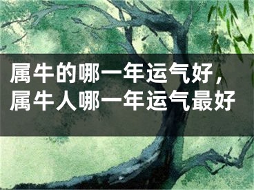 属牛的哪一年运气好,属牛人哪一年运气最好