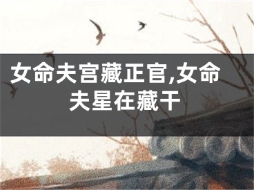 女命夫宫藏正官,女命夫星在藏干