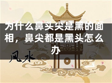 为什么鼻头尖是黑的面相，鼻尖都是黑头怎么办