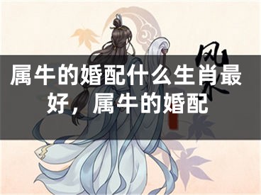属牛的婚配什么生肖最好，属牛的婚配