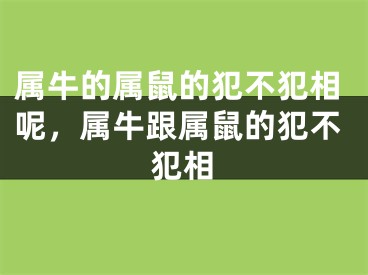 属牛的属鼠的犯不犯相呢，属牛跟属鼠的犯不犯相