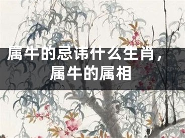 属牛的忌讳什么生肖，属牛的属相