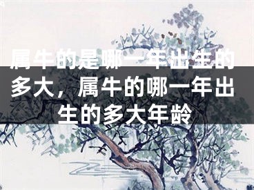 属牛的是哪一年出生的多大，属牛的哪一年出生的多大年龄
