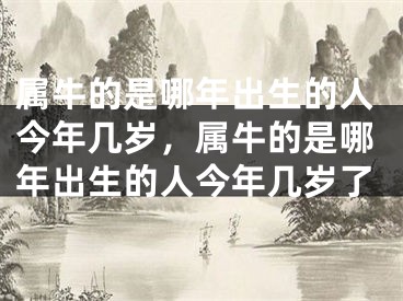 属牛的是哪年出生的人今年几岁，属牛的是哪年出生的人今年几岁了