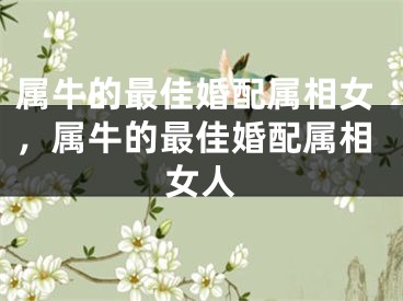 属牛的最佳婚配属相女，属牛的最佳婚配属相女人