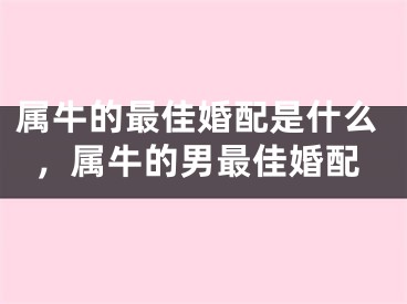 属牛的最佳婚配是什么，属牛的男最佳婚配