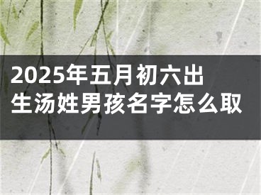 2025年五月初六出生汤姓男孩名字怎么取