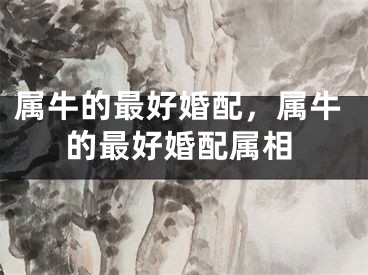 属牛的最好婚配，属牛的最好婚配属相