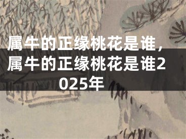 属牛的正缘桃花是谁，属牛的正缘桃花是谁2025年