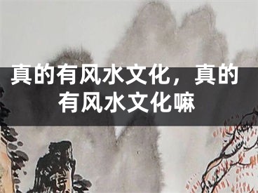 真的有风水文化，真的有风水文化嘛