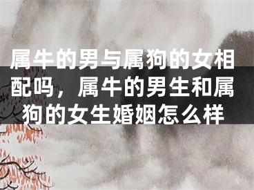 属牛的男与属狗的女相配吗，属牛的男生和属狗的女生婚姻怎么样