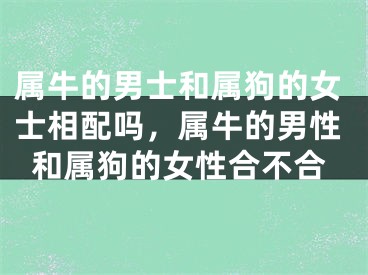 属牛的男士和属狗的女士相配吗，属牛的男性和属狗的女性合不合