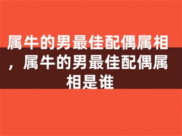 属牛的男最佳配偶属相，属牛的男最佳配偶属相是谁
