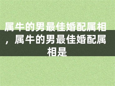 属牛的男最佳婚配属相，属牛的男最佳婚配属相是