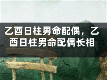 乙酉日柱男命配偶,乙酉日柱男命配偶长相
