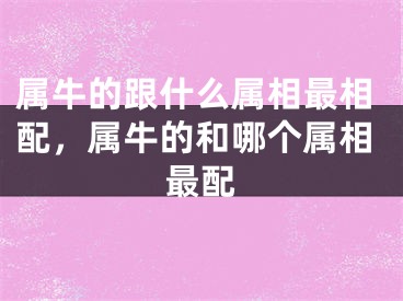 属牛的跟什么属相最相配，属牛的和哪个属相最配