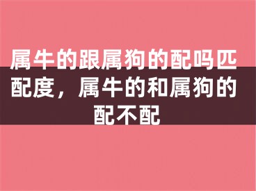属牛的跟属狗的配吗匹配度，属牛的和属狗的配不配