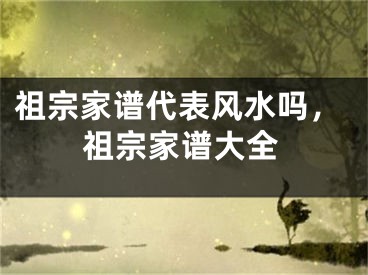 祖宗家谱代表风水吗，祖宗家谱大全