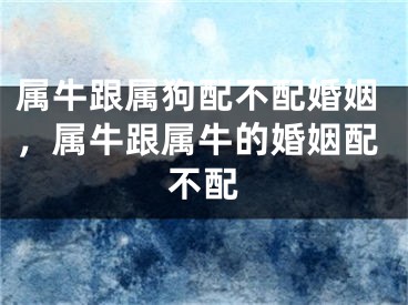 属牛跟属狗配不配婚姻,属牛跟属牛的婚姻配不配