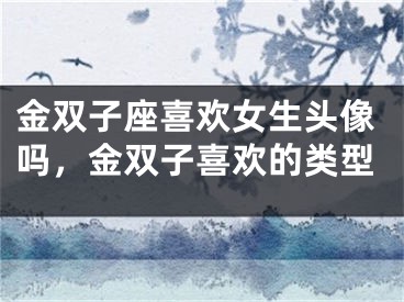 金双子座喜欢女生头像吗，金双子喜欢的类型