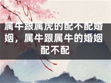 属牛跟属虎的配不配婚姻，属牛跟属牛的婚姻配不配