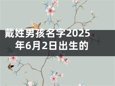 戴姓男孩名字2025年6月2日出生的