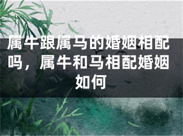 属牛跟属马的婚姻相配吗，属牛和马相配婚姻如何