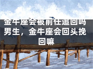 金牛座会被前任追回吗男生，金牛座会回头挽回嘛
