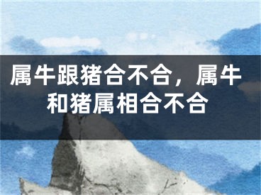 属牛跟猪合不合，属牛和猪属相合不合