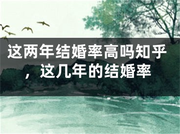 这两年结婚率高吗知乎，这几年的结婚率