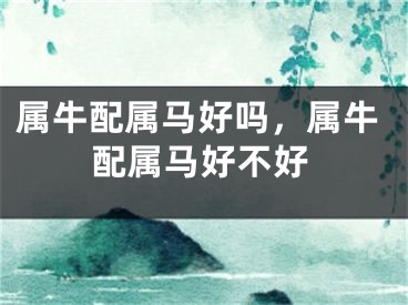 属牛配属马好吗，属牛配属马好不好