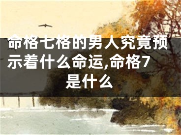 命格七格的男人究竟预示着什么命运,命格7是什么