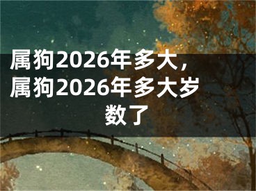 属狗2026年多大，属狗2026年多大岁数了