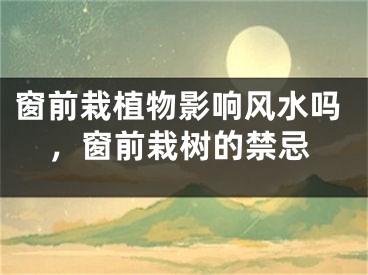 窗前栽植物影响风水吗，窗前栽树的禁忌