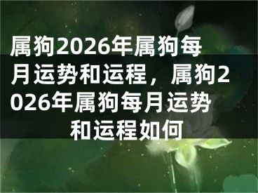 属狗2026年属狗每月运势和运程，属狗2026年属狗每月运势和运程如何