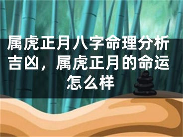 属虎正月八字命理分析吉凶，属虎正月的命运怎么样