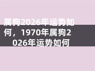 属狗2026年运势如何，1970年属狗2026年运势如何