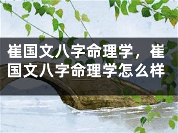 崔国文八字命理学，崔国文八字命理学怎么样