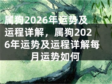 属狗2026年运势及运程详解,属狗2026年运势及运程详解每月运势如何