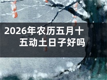 2026年农历五月十五动土日子好吗