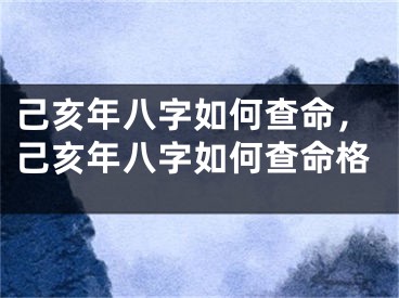 己亥年八字如何查命，己亥年八字如何查命格