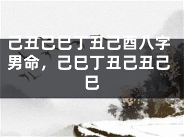 己丑己巳丁丑己酉八字男命，己巳丁丑己丑己巳