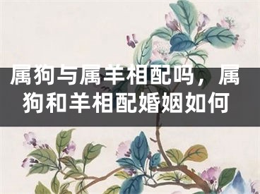 属狗与属羊相配吗，属狗和羊相配婚姻如何