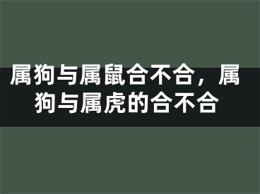 属狗与属鼠合不合，属狗与属虎的合不合