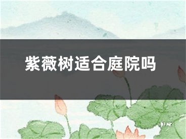 紫薇树适合庭院吗
