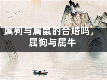属狗与属鼠的合婚吗,属狗与属牛