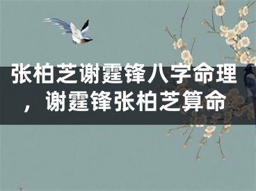 张柏芝谢霆锋八字命理，谢霆锋张柏芝算命