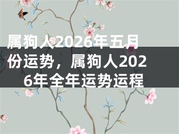 属狗人2026年五月份运势，属狗人2026年全年运势运程
